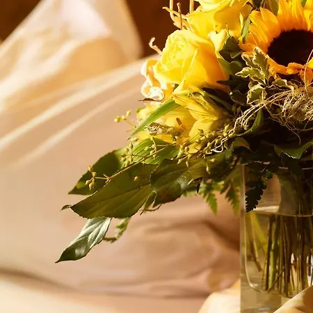 Отель Loesch Pfaelzer Hof 3*