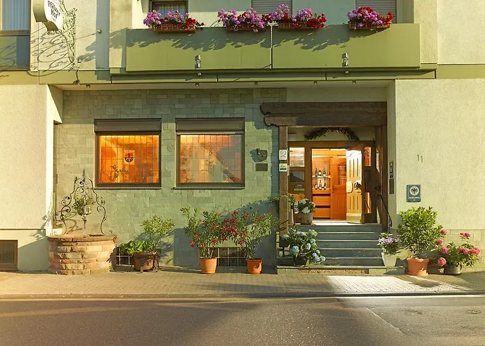 Loesch Pfaelzer Hof Hotel 3*