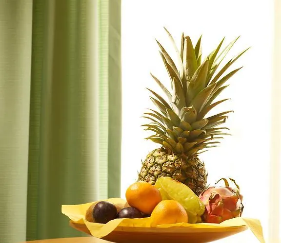 Loesch Pfaelzer Hof Hotel Römerberg