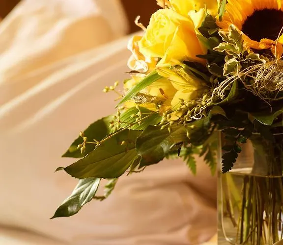 Hotel Loesch Pfaelzer Hof 3*